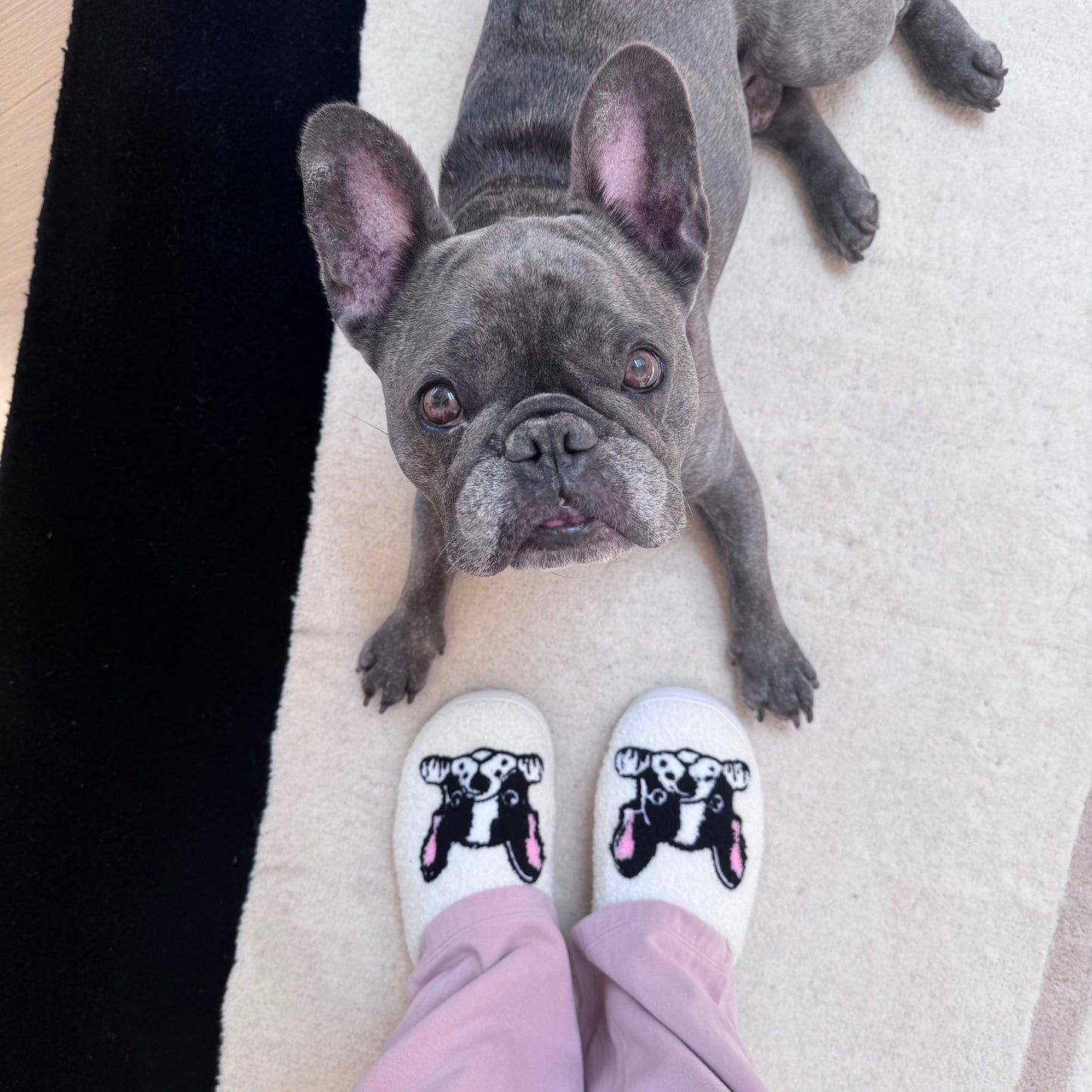 Boston Terrier Slippers